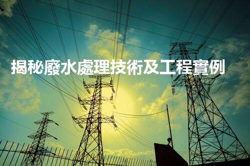 揭秘廢水處理技術及工程實例叢書的隱藏奧秘？